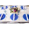 PARTY BARGAINS 12 oz Disposable Plastic Wine Goblets, Shatter-Resistant BPA-Free Stemmed Wine Cups for Weddings, Events & Outdoor Entertaining, Black, 5 Pack(Blue Gold Rim)