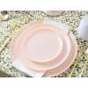 PARTY BARGAINS 6.3″ Disposable Cranberry Red Plates, 10 Pack, Heavy Duty Plastic Edge Collection Tableware Dish Platter. Dinnerware Table Setting Plates for Catering, Events(Pink)