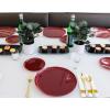 PARTY BARGAINS 6.3″ Disposable Cranberry Red Plates, 10 Pack, Heavy Duty Plastic Edge Collection Tableware Dish Platter. Dinnerware Table Setting Plates for Catering, Events(Cranberry Red)