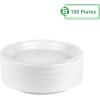 Blue Sky 6 Inch White Plastic Plates – [100 Count] Disposable Plastic Plates, Microwave Safe, Perfect for Birthday Parties, Weddings, Banquets, Picnics, and Everyday Use