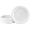 Blue Sky 6 Inch White Plastic Plates – [100 Count] Disposable Plastic Plates, Microwave Safe, Perfect for Birthday Parties, Weddings, Banquets, Picnics, and Everyday Use