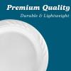 Blue Sky 100 Count Disposable Plastic Plates, 6-Inch, White