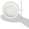 Blue Sky 100 Count Disposable Plastic Plates, 6-Inch, White