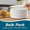 Blue Sky 100 Count Disposable Plastic Plates, 7″, White